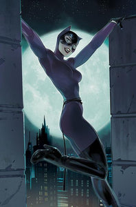 CATWOMAN #66 CVR D INC 1:25 OTTO SCHMIDT CARD STOCK VAR