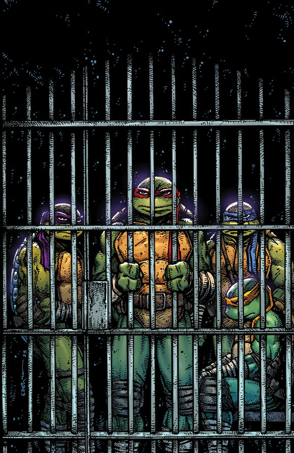 Teenage Mutant Ninja Turtles #11 Variant RI (10) (Eastman Full Art)