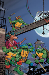 TMNT SATURDAY MORNING ADV CONTINUED #1 CVR E 25 COPY INCV