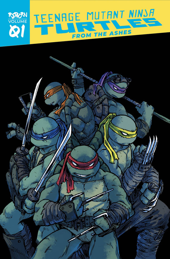 TMNT REBORN TP VOL 01 FROM THE ASHES (C: 0-1-2)