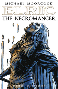 ELRIC THE NECROMANCER #2 (OF 2) CVR C SECHER (MR)