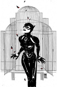 CATWOMAN #60 CVR E INC 1:25 DANI CARD STOCK VAR