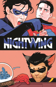 NIGHTWING #110 CVR A BRUNO REDONDO