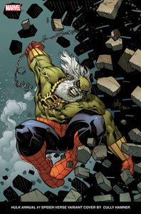 HULK ANNUAL 1 CULLY HAMNER SPIDER-VERSE VARIANT