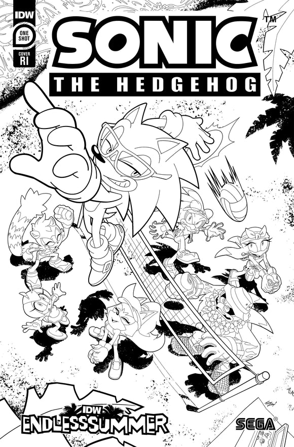 IDW Endless Summer--Sonic the Hedgehog Variant RI (10) (Coloring Book Variant) 1:10