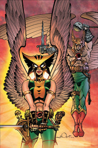 HAWKGIRL HAWKMAN RETURNS TP