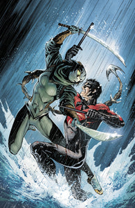 NIGHTWING #14