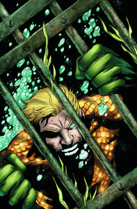 AQUAMAN #17