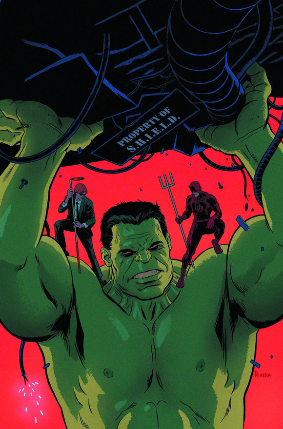 INDESTRUCTIBLE HULK #9 NOW