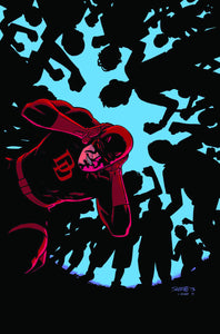 DAREDEVIL #29