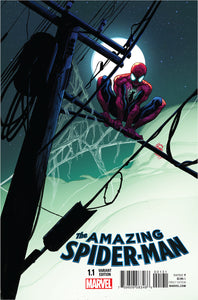 AMAZING SPIDER-MAN #1.1 STEGMAN VAR