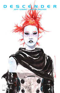 DESCENDER #13