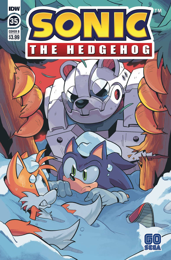 SONIC THE HEDGEHOG #35 CVR B ROTHLISBERGER (C: 1-0-0)