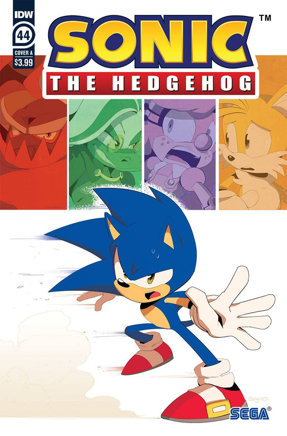 SONIC THE HEDGEHOG #44 CVR A DUTRIEX (C: 1-0-0)