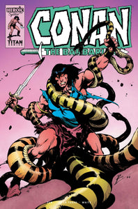 CONAN BARBARIAN #3 CVR D TORRE (MR)