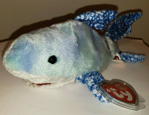 Ty Beanie Baby - CHOMPERS the Shark 7.5" (August 2004 BBOM) MINT with MINT TAGS
